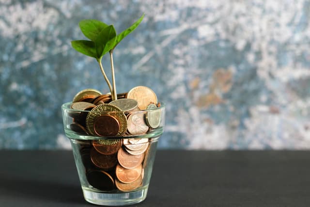 Micro-Finance Software